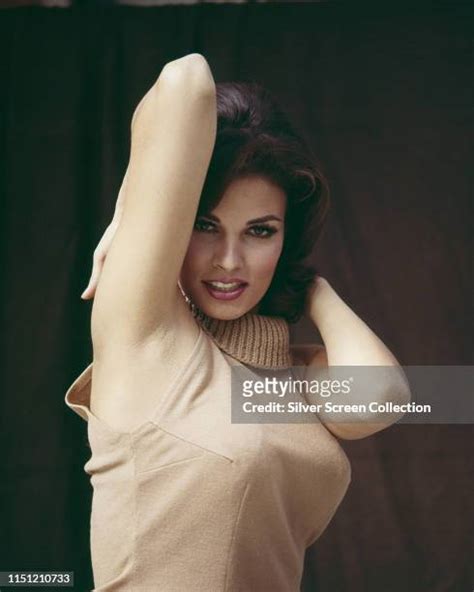 194 Raquel Welch 1970 Stock Photos & High